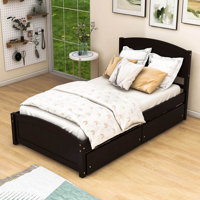 Doray Twin Platform Bed with Two Drawers by Harriet Bee