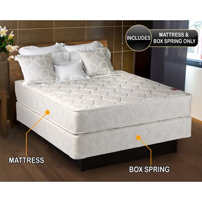 Mccaughey Gentle Firm Mattress And Box Spring Set - Fully Assembled, Good For Your Back, Superior Quality, Long Lasting And 2 Sided By Alwyn Home by Alwyn Home
