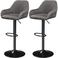 Eastway 2Pcs Vintage Swivel Bar Stools by Trent Austin Design