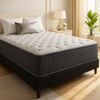Mykel 14-Inch Luxury Foam Encased Mattress, Pocket Coil Springs for Motion Isolation by Alwyn Home