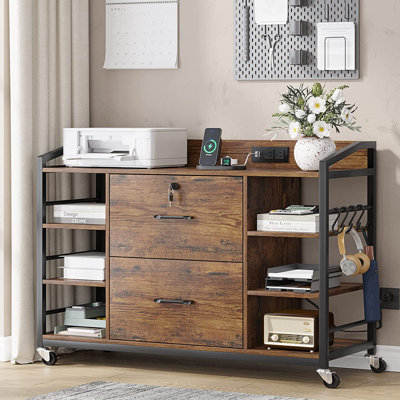 2-Drawer Lateral Filing Cabinet by Latitude Run