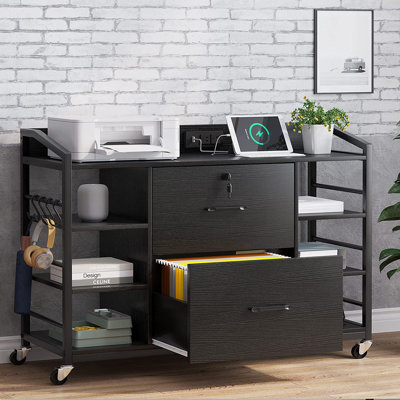 2-Drawer Lateral Filing Cabinet by Latitude Run