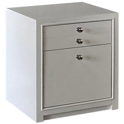 Alajbegu 2-Drawers Mobile Vertical Filing Cabinet by Lark Manor