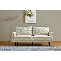 Small Space Velvet Cushion Back Sofa by Mercer41