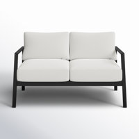 Armando 51” Aluminum Outdoor Loveseat with Sunbrella Cushions by AllModern