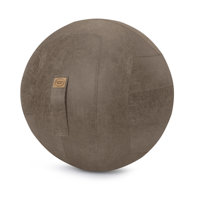 Jonluc Ball Chair by Inbox Zero