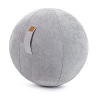 Alfa Sitting Ball Chair by Latitude Run