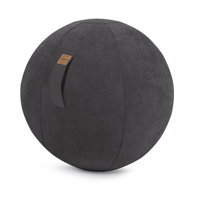 Alfa Sitting Ball Chair by Latitude Run