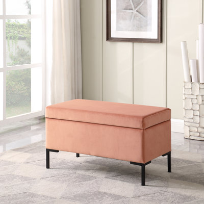 Briony Upholstered Flip Top Storage Bench by Mercury Row