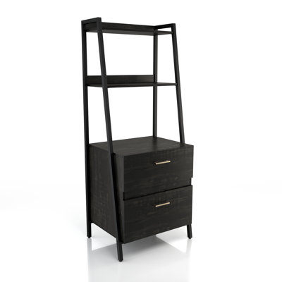 2 -Drawer Vertical Filing Cabinet by 17 Stories