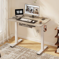 Mancheer Home Office Height Adjustable Standing Desk with USB Ports and Cable Management Tray by The Twillery Co.