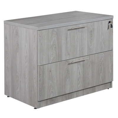 Deliylah 2-Drawer Lateral Filing Cabinet, Gray Oak by Union Rustic