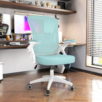 Norlene Ergonomic Breathable Mesh Office Chair With Flip-Up Armrest