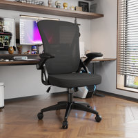 Norlene Ergonomic Breathable Mesh Office Chair With Flip-Up Armrest by Inbox Zero