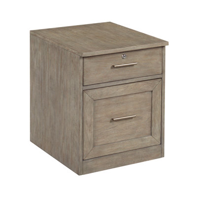 Bridgnorth 2-Drawer Vertical Filling Cabinet by Laurel Foundry Modern Farmhouse