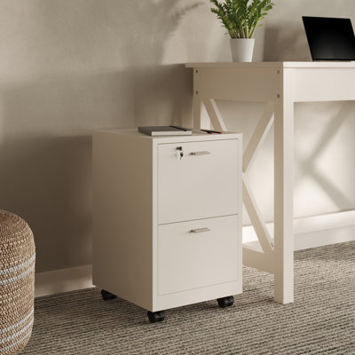 2-Drawer Mobile Vertical Filling Cabinet by Inbox Zero