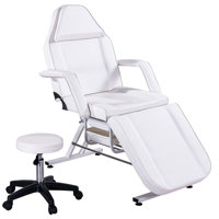 Vegan Leather Tattoo Spa Facial Salon Recliner Adjustable Chair Set With 2 Trays by Inbox Zero