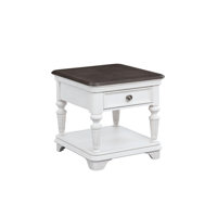 Arya End Table with Storage by Laurel Foundry Modern Farmhouse
