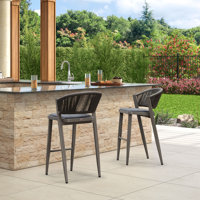 Brasia 29.72" Patio Bar Stool with Cushion by Wade Logan