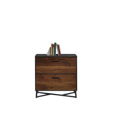 2-Drawer Lateral Filing Cabinet by 17 Stories