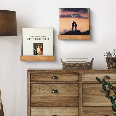 2 Piece Wall Mounted Media Storage by Loon Peak