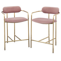 Mavra 24" Counter Stool by Everly Quinn