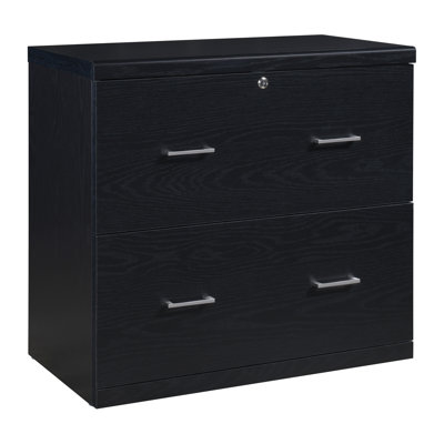 Tykeem 2-Drawer Lateral Filing Cabinet by Inbox Zero