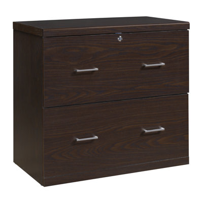 Tykeem 2-Drawer Lateral Filing Cabinet by Inbox Zero