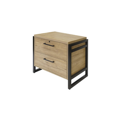 2 Drawer Lateral Filing Cabinet by 17 Stories