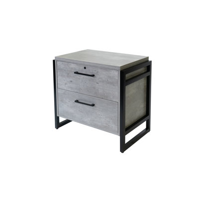 2 Drawer Lateral Filing Cabinet by 17 Stories