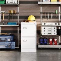Houde 2-Drawer Vertical Filing Cabinet by Inbox Zero