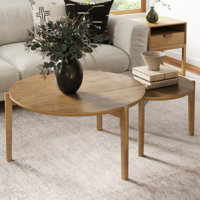 2 Piece Nesting Coffee Table Set by Ebern Designs