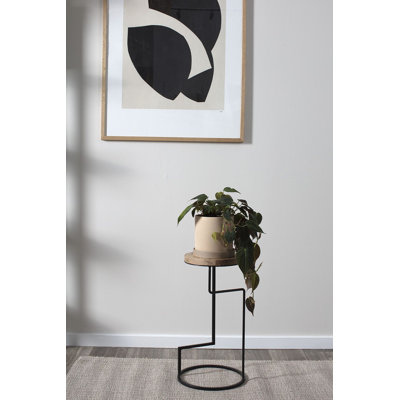 Round Mango Plant Stand by 17 Stories
