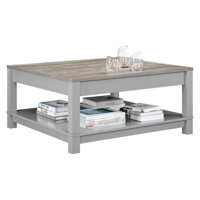 Thaliana Frame Coffee Table with Storage by Gracie Oaks