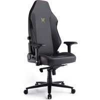 Gaming Chair Ergonomic PC Game Chair- Lumbar Support Headrest 4D Armrests Computer Chair by Inbox Zero
