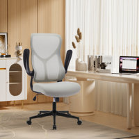 Houstin Ergonomic Mesh Task Chair by Inbox Zero