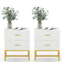 Lavario 2 - Drawer Steel Nightstand in White by Mercer41