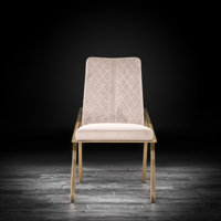 Ingleside Velvet Side Chair by Everly Quinn