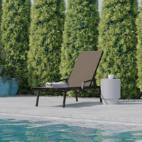 Aubreeann All-Weather PVC-coated Polyester Adjustable Chaise Lounge Chairs with Arms