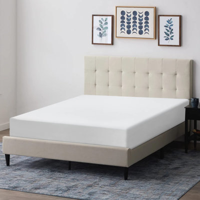 Alwyn Home Felsenthal 12" Medium Tight Top Mattress by Alwyn Home