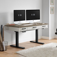 Isamu Height Adjustable Desk by Ophelia & Co.