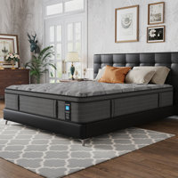 Jarrettsville 12" & 14" Firm and Comfortable Hybrid Mattress with Gel Memory Foam & Pressure Relief by Alwyn Home