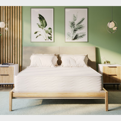 10.5" GOTS Certified Organic Hybrid Latex & Coil Quilted Mattress by Serenia Sleep