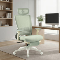Makenzie Ergonomic Office chair with Adjustable Armrest and Foldable Backrest,minimal assembly by Inbox Zero