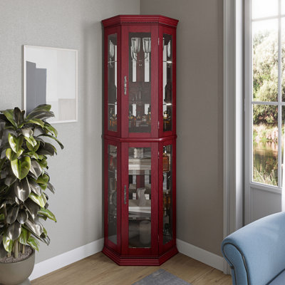Afifa 21.5" W Accent China Cabinet with Lights, Adjustable Shelves,Magnetic Catch by Winston Porter