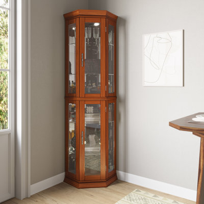 Afifa 21.5" W Accent China Cabinet with Lights, Adjustable Shelves,Magnetic Catch by Winston Porter