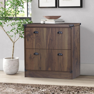 Philo 2 -Drawer Lateral Filing Cabinet by Laurel Foundry Modern Farmhouse