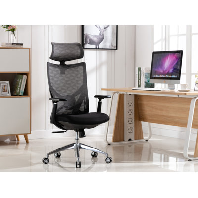 Ergonomic Mesh Office Chair with Aluminum Base by Inbox Zero