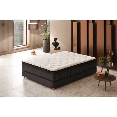 Hybrid Pro Roll Pack Mattress by Alwyn Home