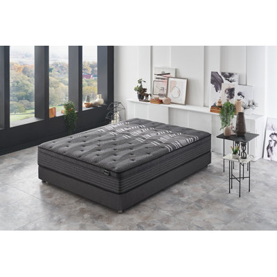 Harmony Pro Roll Pack Mattress by Alwyn Home